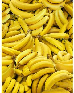 Fruit Bowl: Packed Bananas -- Timeless Treasures Fabrics Fruit-cd1371 yellow