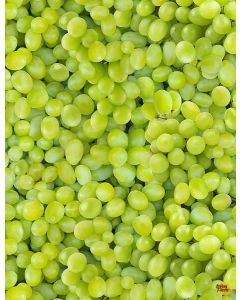 Fruit Bowl: Packed Grapes -- Timeless Treasures Fabrics Fruit-cd1373 green