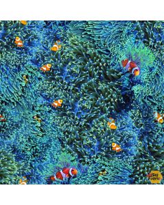 Natures Narratives: Clownfish Spectrum Digital Print -- Hoffman Fabrics r4664-316 