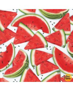 Chow Time: Watermelon -- Robert Kaufman amkd-19784-377 watermelon