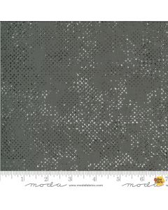 Quotation: Spot Quotation Spotted Graphi -- Moda Fabrics 1660-135 -- 2 yards 30" remaining