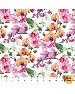 Orchids in Bloom: Orchids -- Northcott Fabrics dp23870-10 - 1 yard 34" + FQ remaining