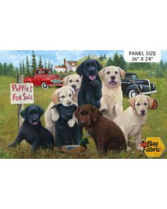 Puppies for Sale: Dog Panel 29" panel) -- Northcott 24250-74