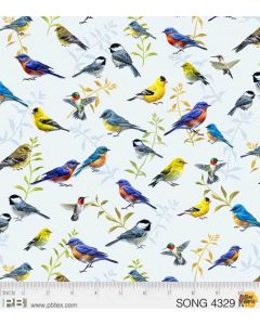 Song Birds: Birds -- P&B Textiles 4329mu