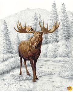 Big Game: Moose Pencil Painting Panel (1 yard) -- Riley Blake Designs 12975 moose