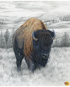 Big Game: Bison Pencil Painting Panel (1 yard) -- Riley Blake Designs 12977 bison