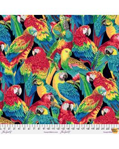 Treasure Island: Polly Parrots Black -- Free Spirit Fabrics pwsl106.black