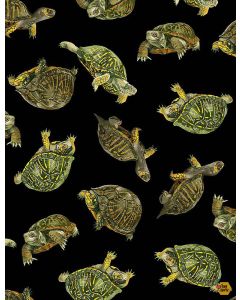 Backyard Wildlife: Realistic Box Turtles  -- Timeless Treasures -- gm-c1175 black