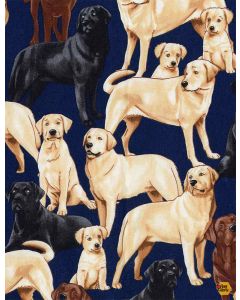 Dog: Labrador Dogs -- Timeless Treasures GM-C3240 navy