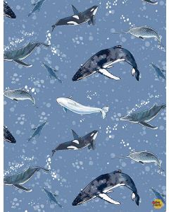 Ocean Blue: Marine Mammals -- Timeless Treasures Fabrics Thomas-cd1296 blue
