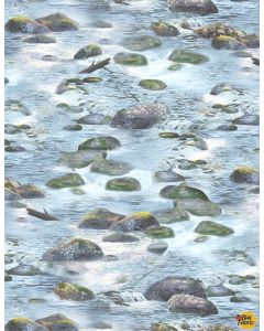 A New Adventure: River Rocks Light Blue -- Wilmington Prints 10139-407 