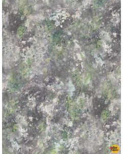 A New Adventure: Moss & Rocks Texture Gray -- Wilmington Prints 10141-970