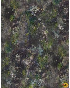 A New Adventure: Moss & Rocks Texture Black -- Wilmington Prints 10141-974 